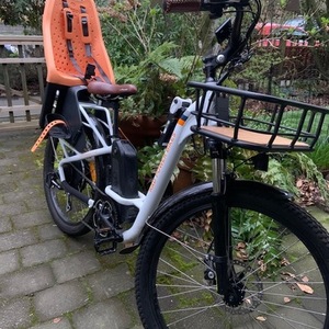 Rad Power Bikes RadCity Step-Thru 3 White