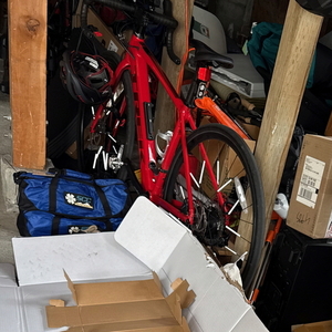 2024 Trek Domane+ AL 5 Red