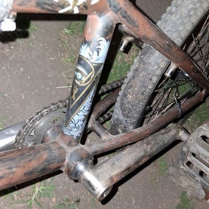 2013 DK Bikes X (model x)