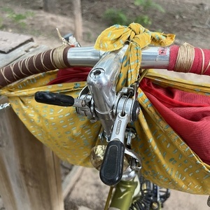 2023 Rivendell Bicycle Works Appaloosa Green