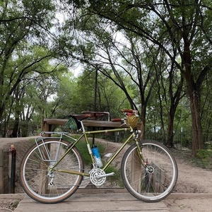 2023 Rivendell Bicycle Works Appaloosa Green