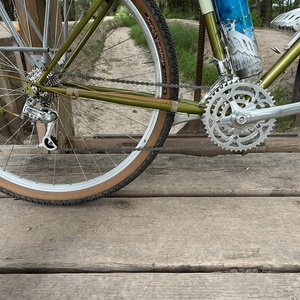 2023 Rivendell Bicycle Works Appaloosa Green
