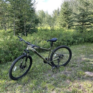 Raleigh