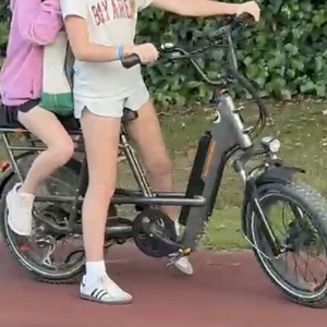 Rad Power Bikes RadRunner 3 Plus Silver, gray or bare metal and Black