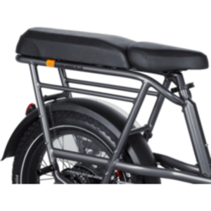 Rad Power Bikes RadRunner 3 Plus Silver, gray or bare metal and Black