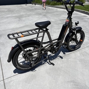 Rad Power Bikes RadRunner 3 Plus Silver, gray or bare metal and Black