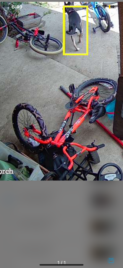 Bike photo