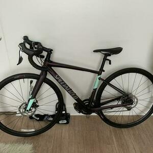 2019 Specialized Diverge E5 Comp