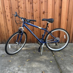 2008 Schwinn Trailway