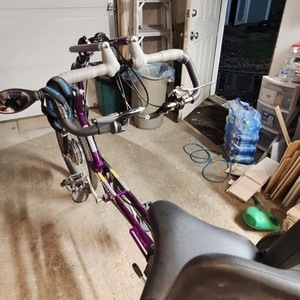 2021 Freedom Concepts Inc. Custom Accessible tricycle tricycle Purple