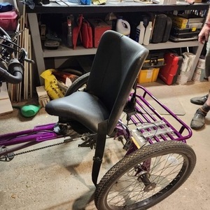 2021 Freedom Concepts Inc. Custom Accessible tricycle tricycle Purple