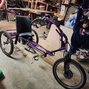 2021 Freedom Concepts Inc. Custom Accessible tricycle tricycle Purple