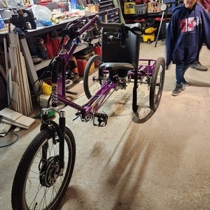 2021 Freedom Concepts Inc. Custom Accessible tricycle tricycle Purple