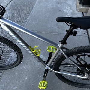 2023 Specialized Rock Hopper Silver, gray or bare metal