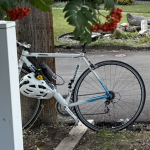 Cannondale R800 White