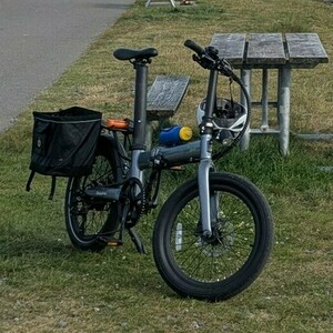 2020 qualisports dolphin