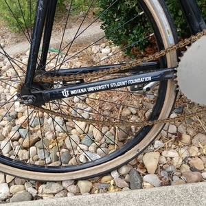 2020 Schwinn Little 500 race bike White and Black