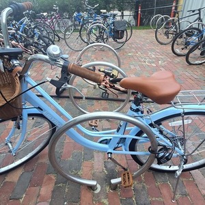 2021 Eisyrood Cruiser Bike Blue