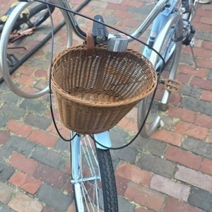 2021 Eisyrood Cruiser Bike Blue