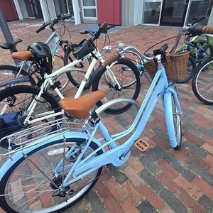 2021 Eisyrood Cruiser Bike Blue