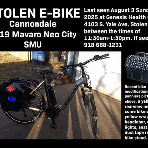 2019 Cannondale Mavaro Neo City SMU Silver, gray or bare metal