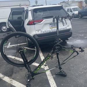 Schwinn Boundry
