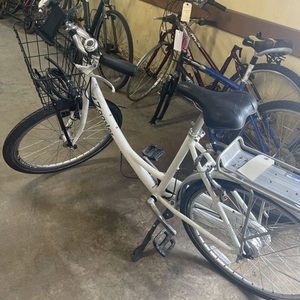 Breezer Zagster