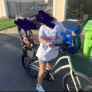 2022 Trek TOWNIE GO! 7D STEP THRU M STORM CLOUD