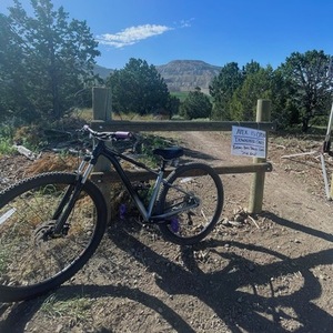 2023 Cannondale Black and Silver, gray or bare metal