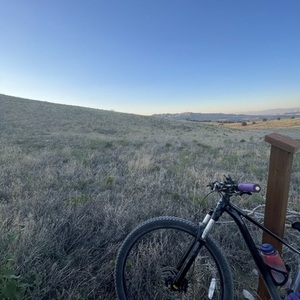 2023 Cannondale Black and Silver, gray or bare metal