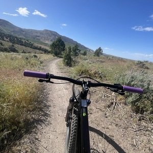 2023 Cannondale Black and Silver, gray or bare metal