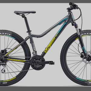 2017 Giant Tempt 4