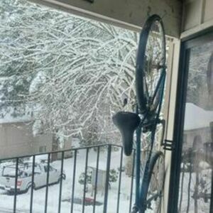 1996 Novara Corsa Blue and Silver, gray or bare metal