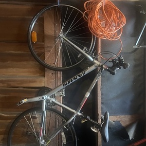 Jamis Allegro Sport Silver, gray or bare metal, Black, and Red