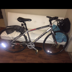 Jamis Allegro Sport Silver, gray or bare metal, Black, and Red