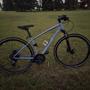 Specialized Ariel