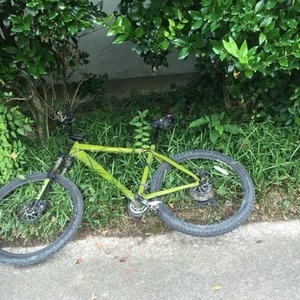 2008 Diamondback Rocky Mountain Flow Raw (???) Green