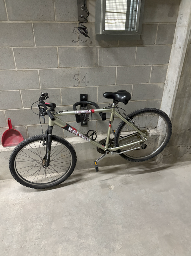 Tarantula Bike 2025 Raleigh Tarantula