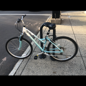 Schwinn Coronado Alloy Frame