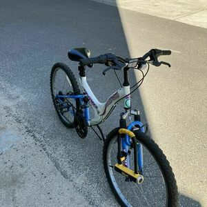 Dyno Willow Creek White and Blue