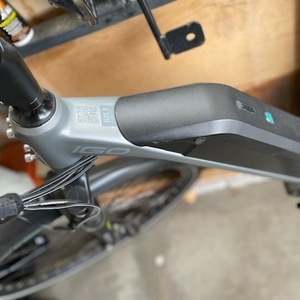 2020 iGo Electric Bikes Elite II