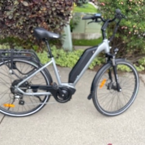 2020 iGo Electric Bikes Elite II Silver, gray or bare metal