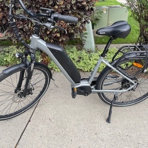 2020 iGo Electric Bikes Elite II Silver, gray or bare metal
