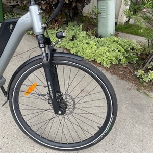 2020 iGo Electric Bikes Elite II Silver, gray or bare metal
