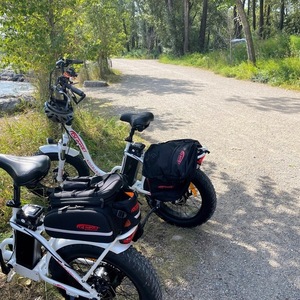 2022 DJ Bikes DJ Folding Step Thru White