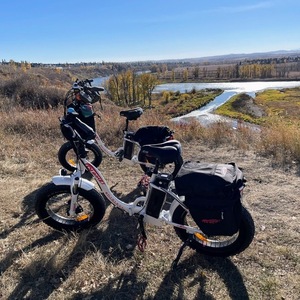 2022 DJ Bikes DJ Folding Bike Step Thru White