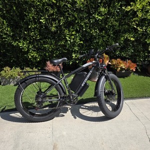 2025 Gamvire "Ecocogy Ecocogy Black