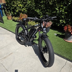 2025 Gamvire "Ecocogy Ecocogy Black