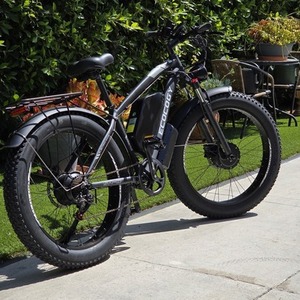 2025 Gamvire "Ecocogy Ecocogy Black