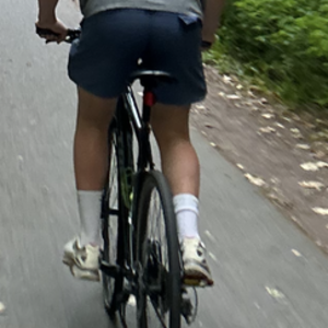 2012 Trek 7.1 FX Black and Green